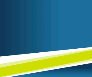 Ergonet-300x250-animated/